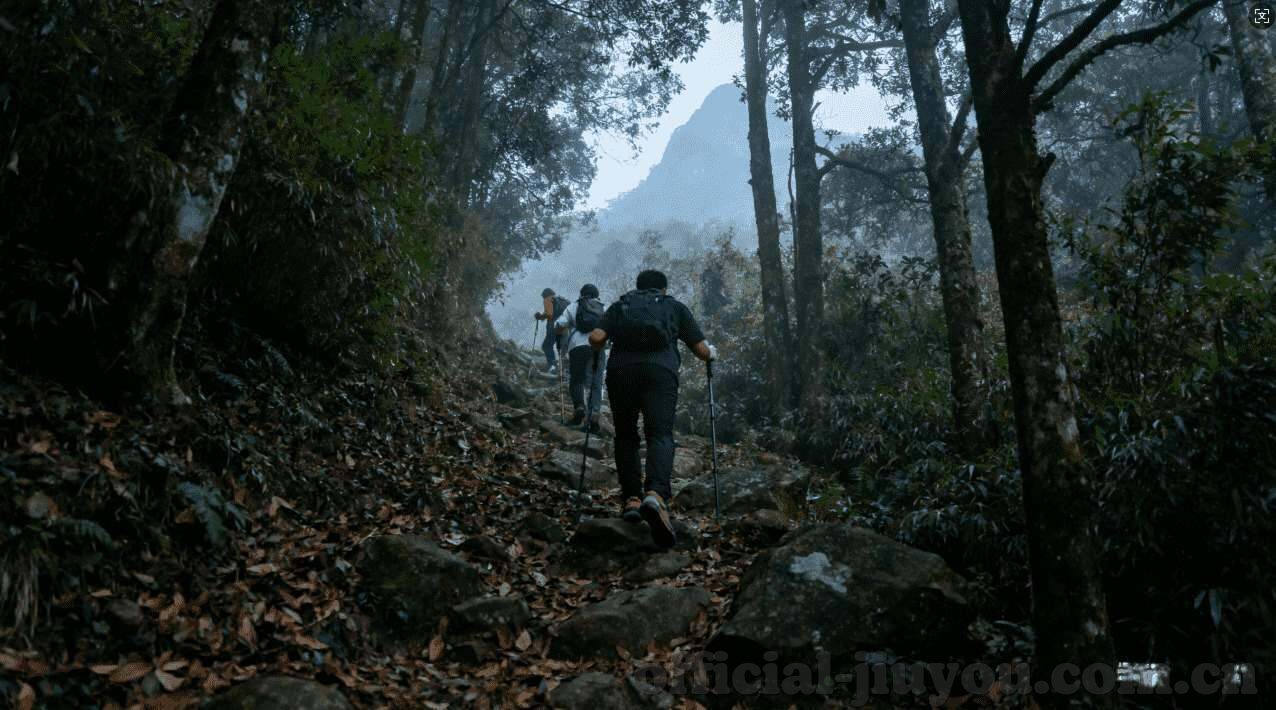 世界杯zhi b-世界杯之博弈，智慧与激情的碰撞